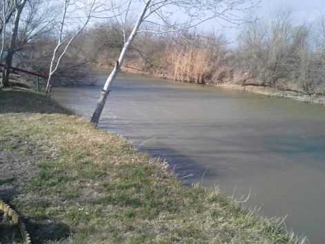 20140317_141815-001.jpg