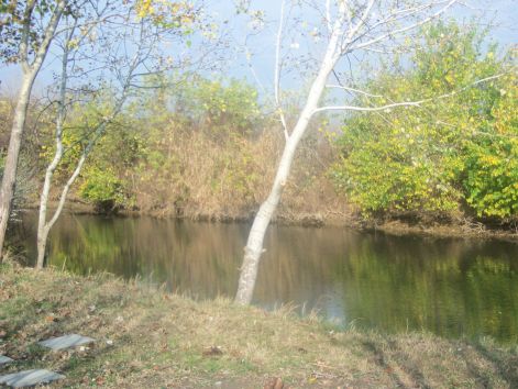 kep_139.jpg